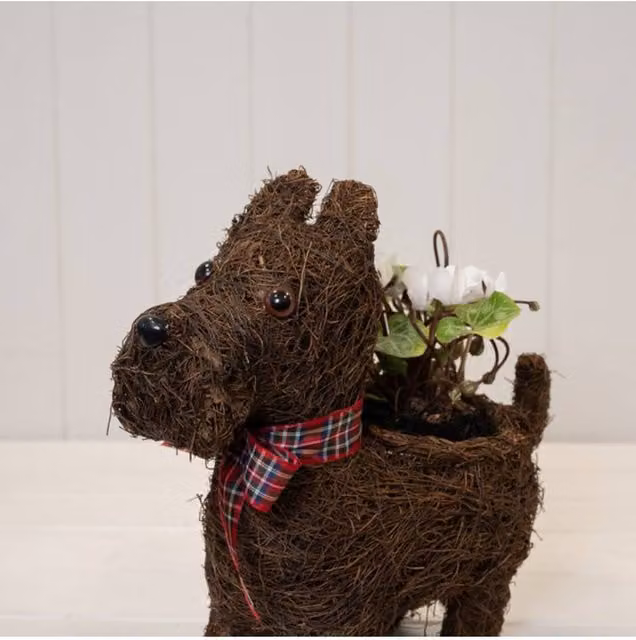 KDMD Scottie Dog Planter with Tartan Ribbon in Dark Brown