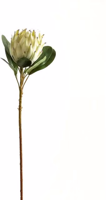 Hill Interiors Protea Artificial Flower in White