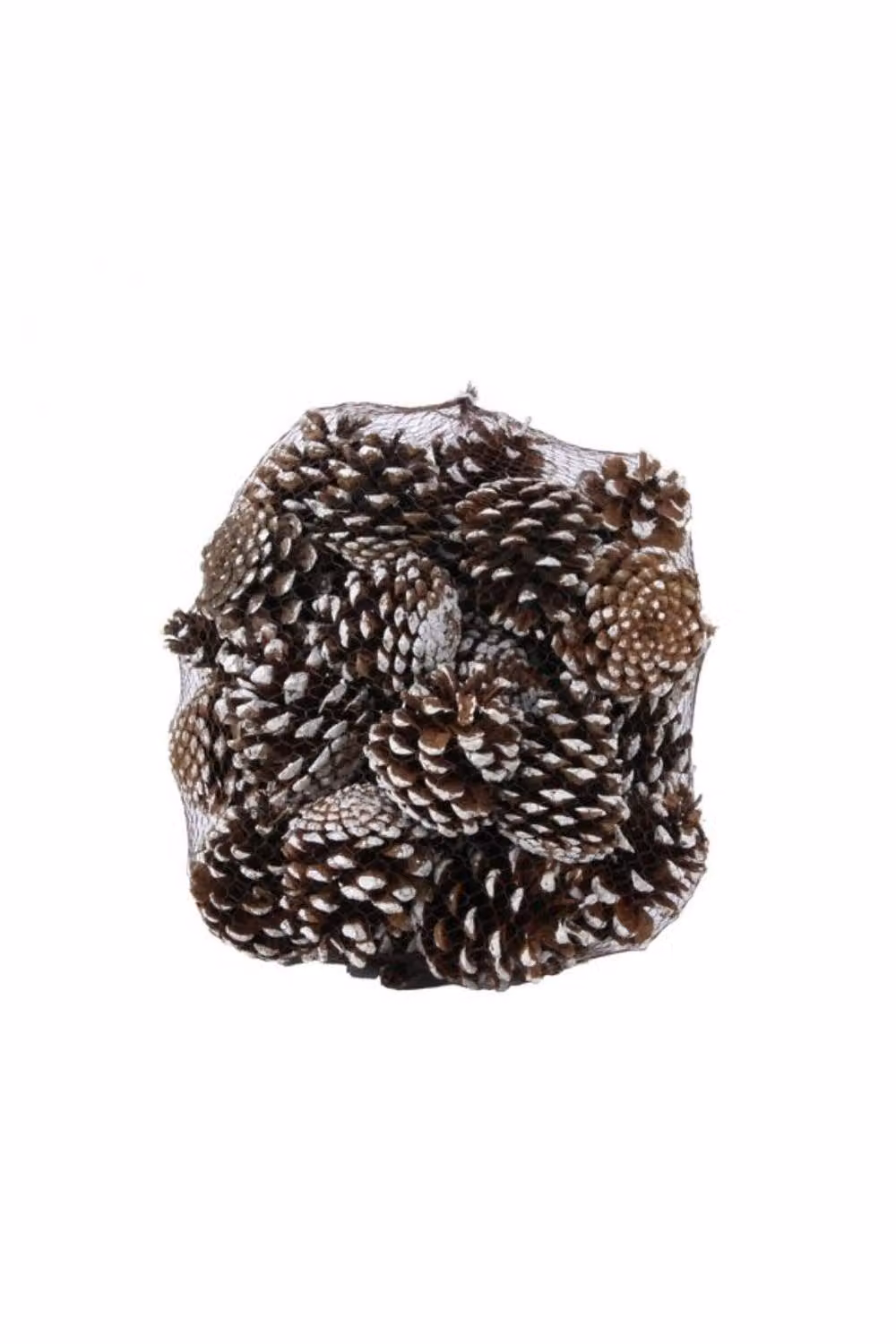 KDMD White Tipped Nigra Cones, 1kg – 2