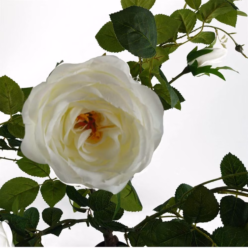 Leaf Premium White Camellia Rose Artificial Plant, Height: 70 cm – 4