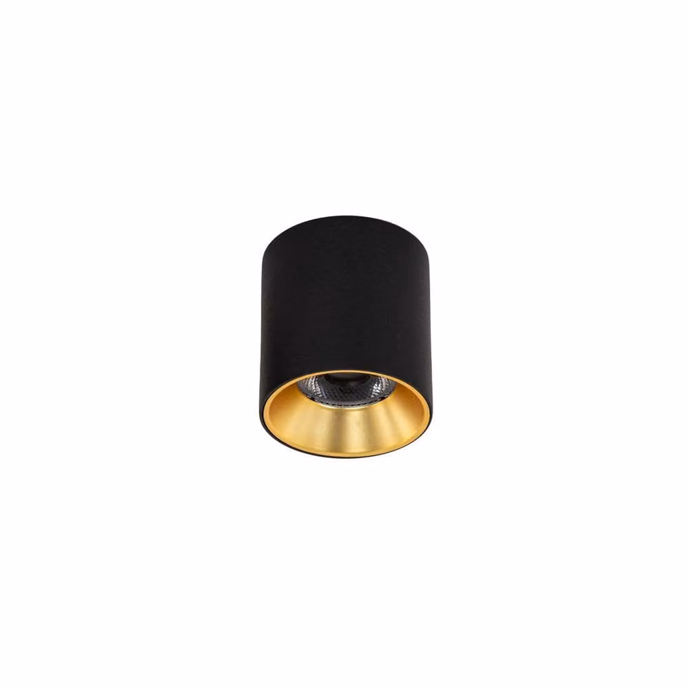 Netlighting Altisma LED Surface Mounted Round Downlight in Matt Black and Gold/Brass, 3000K Warm White, Diameter: 7.5 cm – 2
