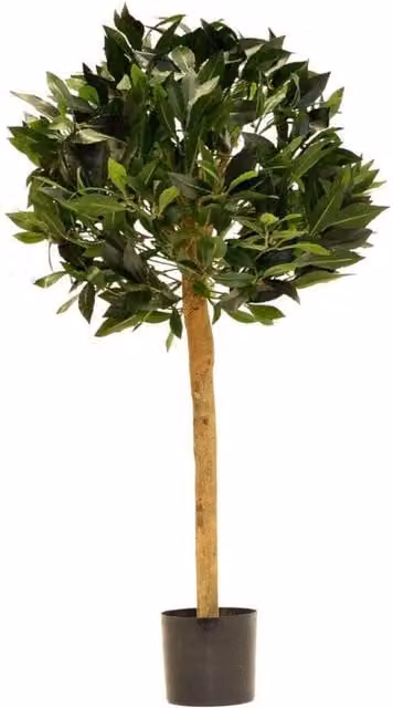 KDMD Green Bay Ball Potted Tree, Green, 2.5ft – 1