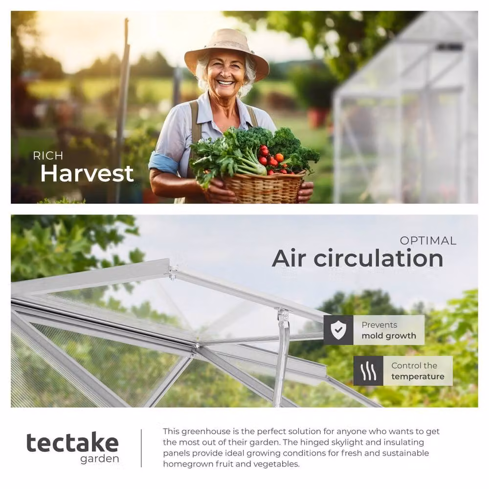 tectake Aluminium Greenhouse with Transparent Polycarbonate Panels, W/D/H: 185 x 190 x 195 cm – 4