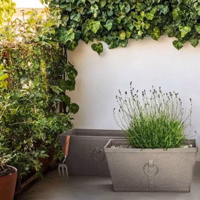 Wyld and Coco Grey Fibre Clay Rectangular Planter Set of 2, W: 60 cm, D: 30 cm, H: 20 cm