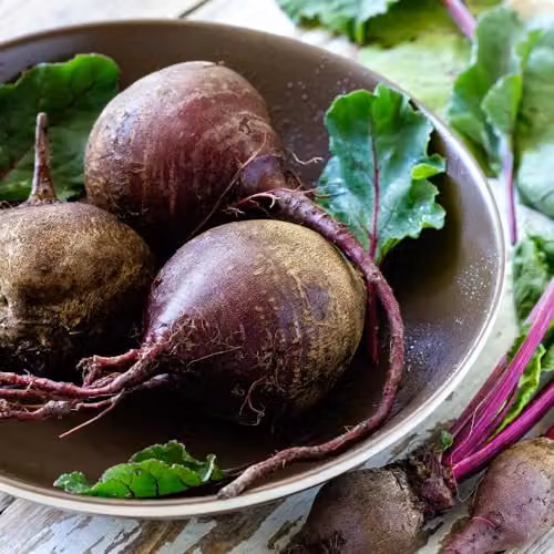 Thompson & Morgan Beetroot Jolie F1 Red Vegetable Seeds – 2