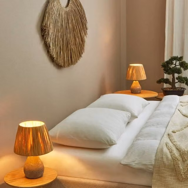 Wyld and Coco Set of 2 Grey Ceramic Cone Table Lamps