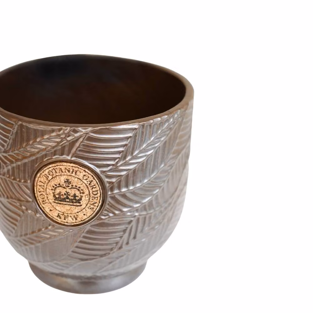 Ivyline Kew Leaf Embossed Charcoal Cork Plant Pot in Grey, Ceramic, H: 22 cm, D: 22.5 cm – 2