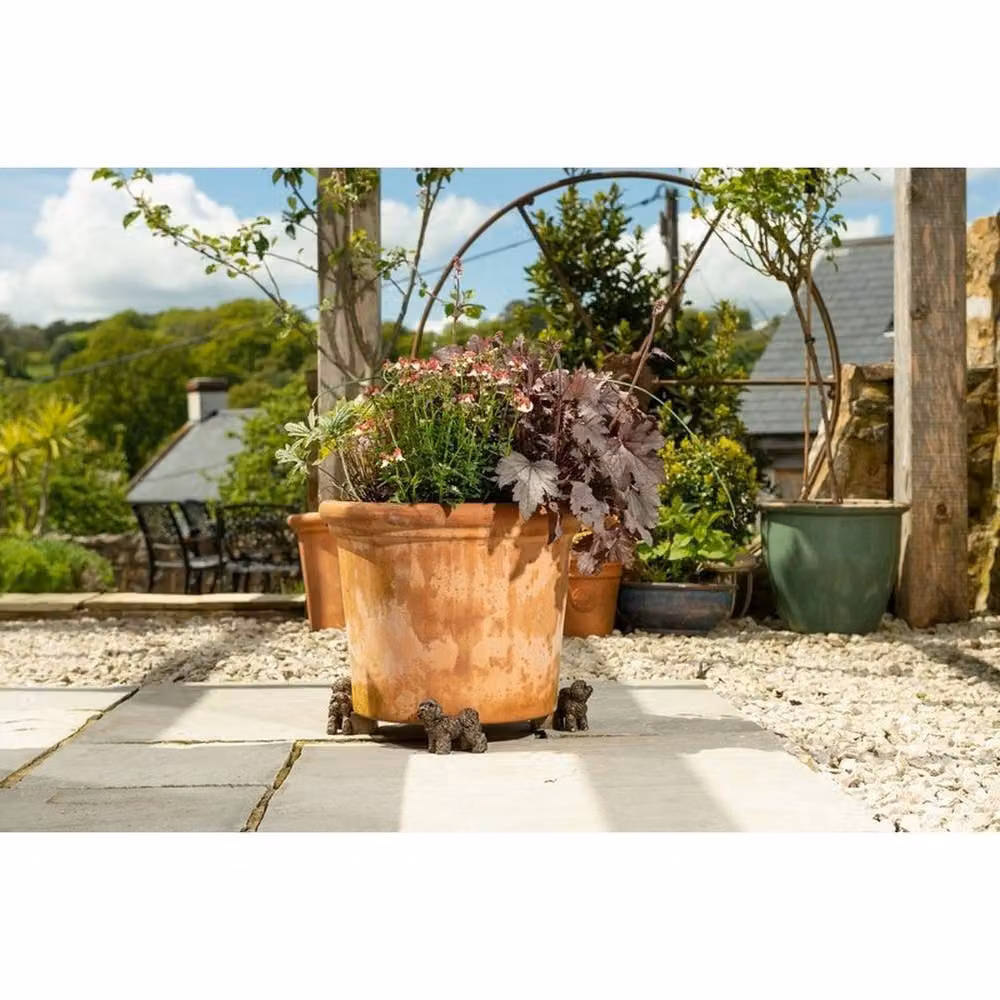 Jardinopia Bichon Frise Plant Pot Feet, Set of 3, Bronze, L9 x W10.5 x H7 cm – 3
