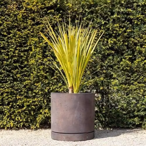Primrose Matte Bronze Orange Limestone Round Planter Pot with Saucer, Height: 50 cm – 1