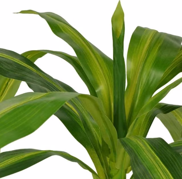 Berkfield Home Artificial Potted Dracaena Plant in Green and Yellow, Height: 100 cm