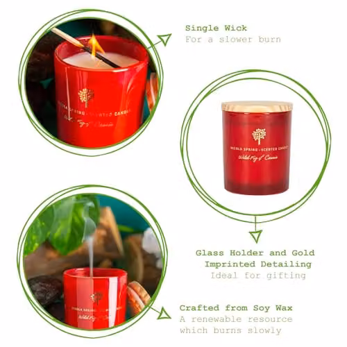 Nicola Spring Wild Fig and Cassis Scented Soy Wax Candle, Red, 130g – 3