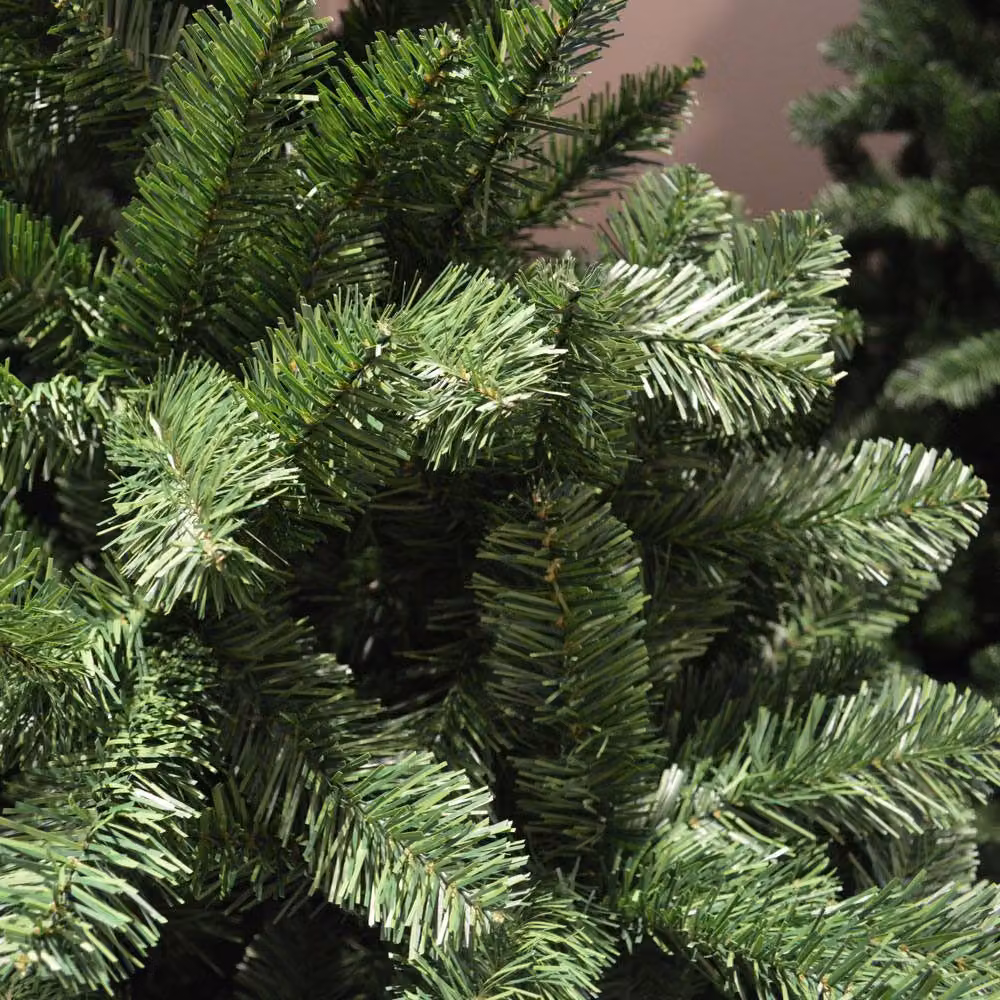 Samuel Alexander Imperial Pine Christmas Tree in Green, Height: 240 cm – 3