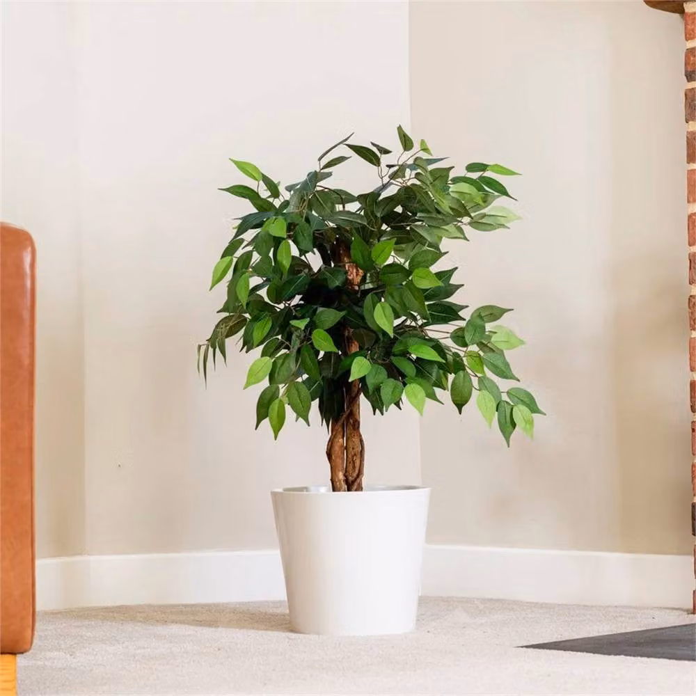 Garden Gear Artificial Ficus Tree Potted Plant in Green and Multicolour, Height: 90 cm – 2