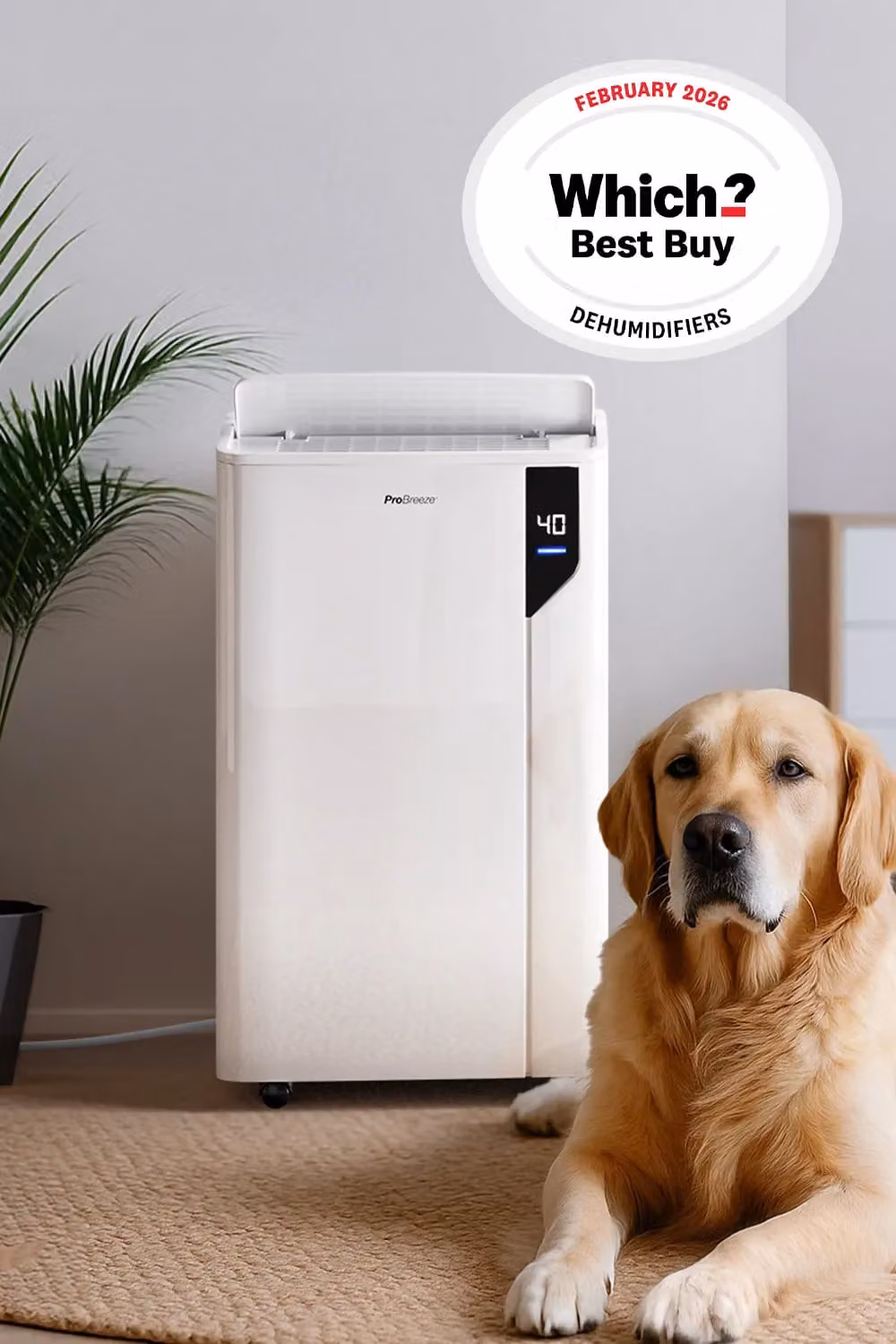 Pro Breeze 20L Premium Dehumidifier with Special Laundry Mode, White – 2