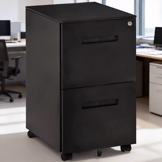 ERGOVEXA Metal Mobile File Cabinet with Wheels and Lock, Black, W/D/H: 39 x 48 x 67 cm