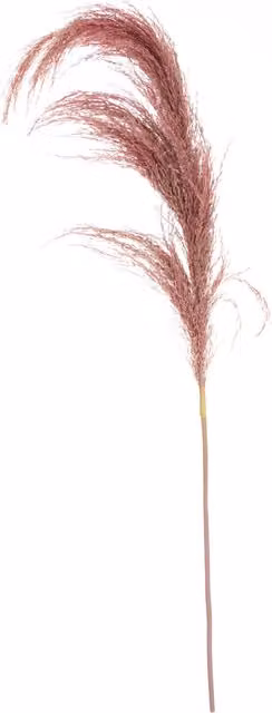 Orsina Fiori Pink Pampas Grass Stem – 1