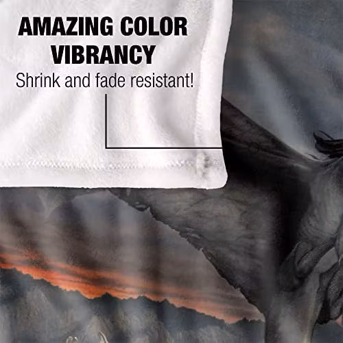 LOGOVISION Lord of the Rings Fellbeast Throw Blanket, Multicolour and White, W/D/H: 152 x 127 cm – 3