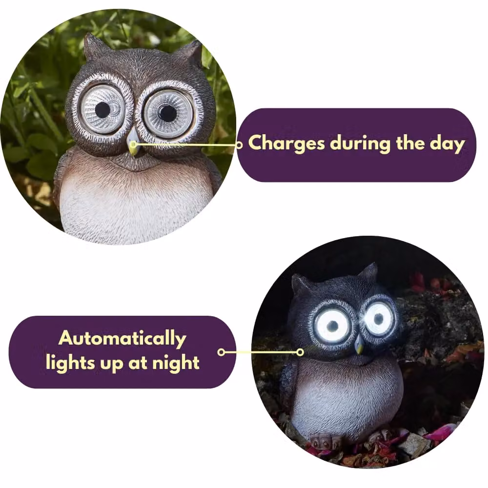Marco Paul Brown Resin Solar Powered Owl Garden Ornament H: 12 cm – 6