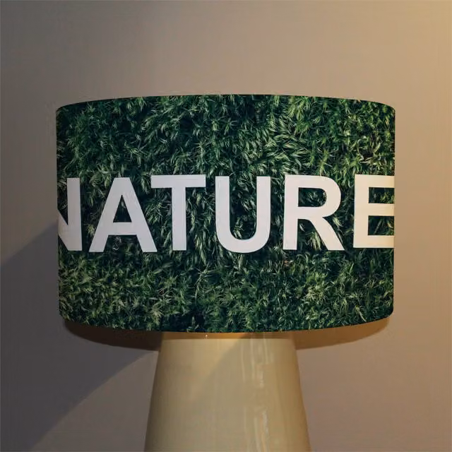 Benjamin Tate Design LTD Wellness Nature Designer Ceiling Lamp with Green Fabric Shade, Diameter: 25 cm