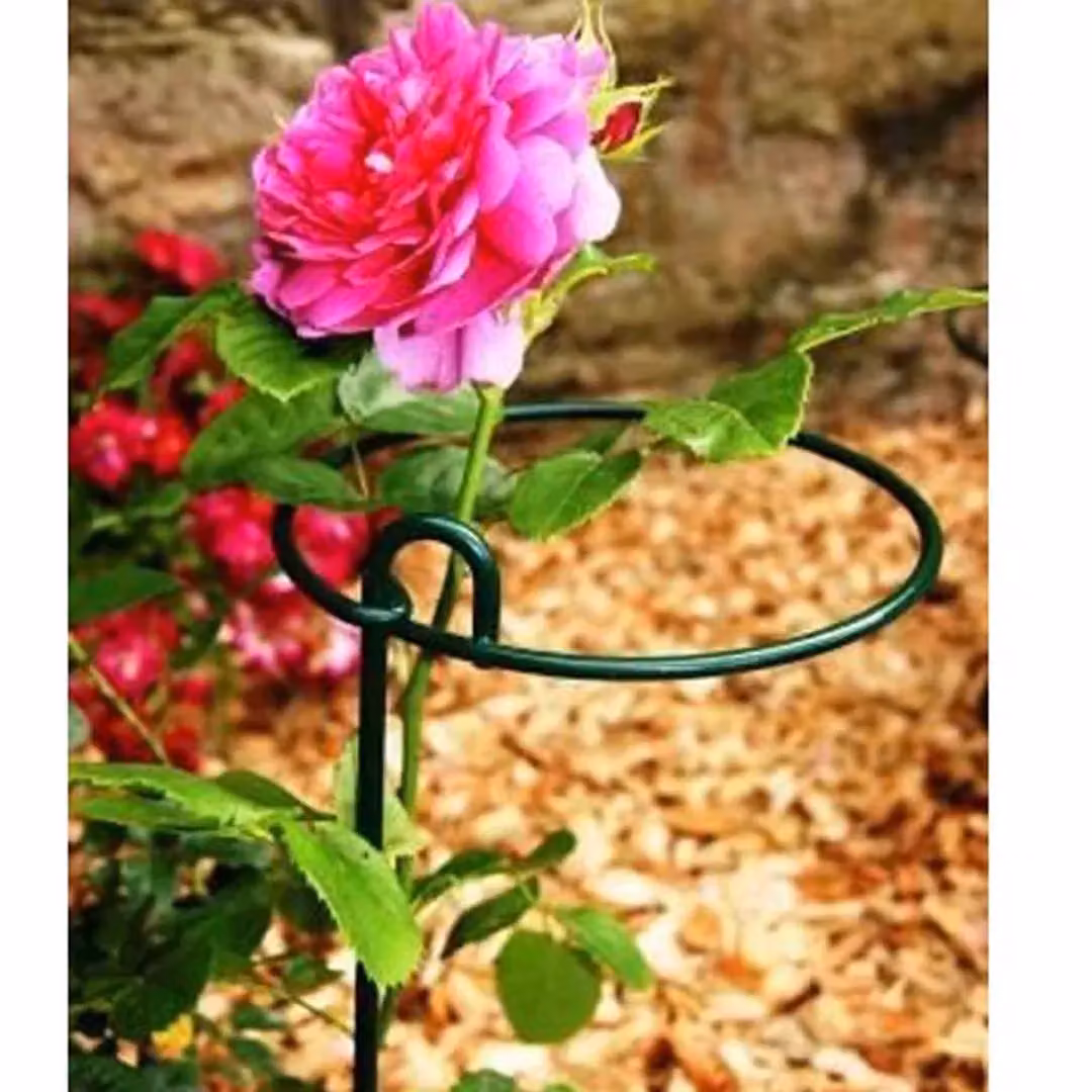 Poppyforge Large Bunch Support Plant Stakes in Green, Pack of 4, W/D/H: 30.5 x 30.5 x 86 cm – 2