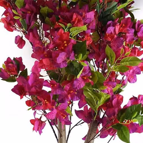 Botanik Pink Flowering Artificial Tree with Wood and Plastic Construction, H 150 cm x W 60 cm x D 60 cm – 3