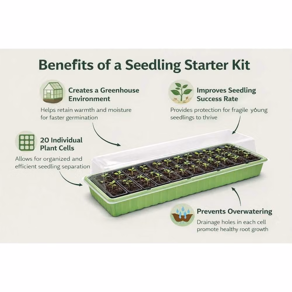 SPETLEK 2 x 20 Cell Propagator Tray Lid in Green and Transparent Plastic – 3
