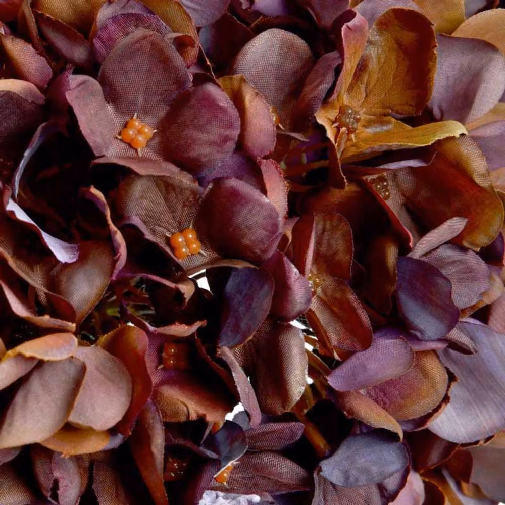 Lemon Pavilion Autumn Hydrangea Artificial Flower, 1 Stem, Brown, W/D/H: 18 x 18 x 42 cm – 2