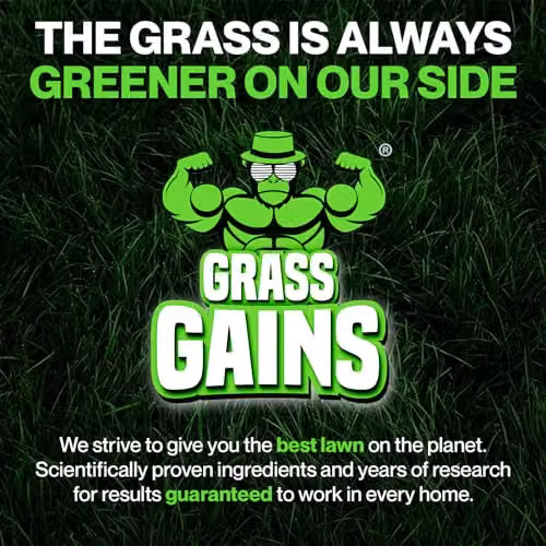Grass Gains Premium Lawn Seed for Year-Round Growth, 1kg – 6