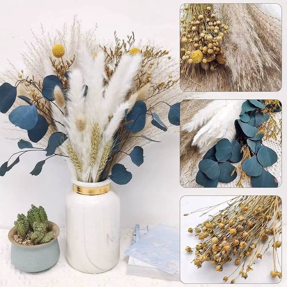 SPETLEK 26pcs Dried Pampas Grass Reeds in White, Beige and Multicolour – 2