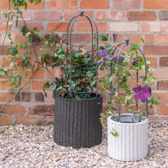 Ivyline Silver Metal Obelisk Plant Support, H64cm x D26cm – 1