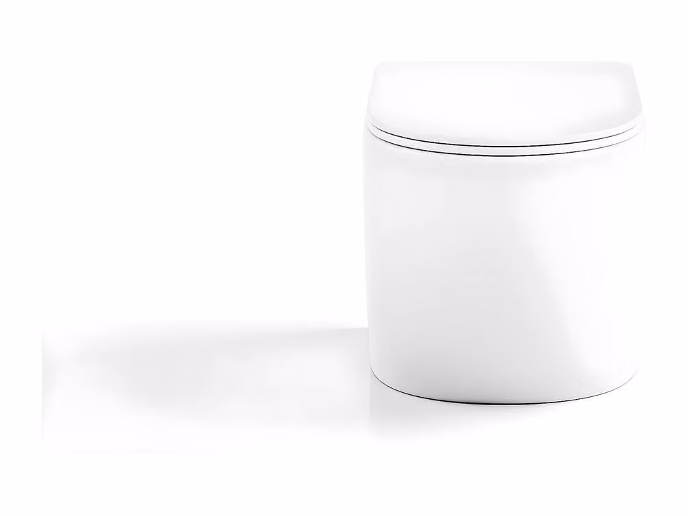 Vente-unique Javoine Rimless Gloss White Ceramic Wall-Hung WC with Soft Close Seat, W/D/H: 36.0 x 53.5 x 30.0 cm – 2