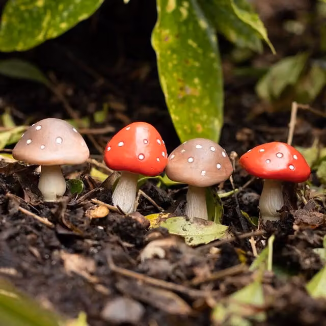 Uniqueful Set of 4 Mini Mushroom Ceramic Plant Pot Pals in Red and Multicolour
