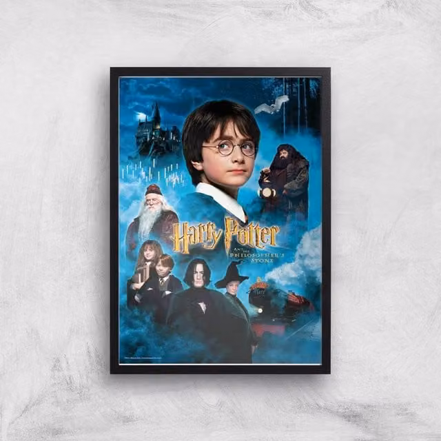 Harry Potter Multicolour Giclee Paper Art Print