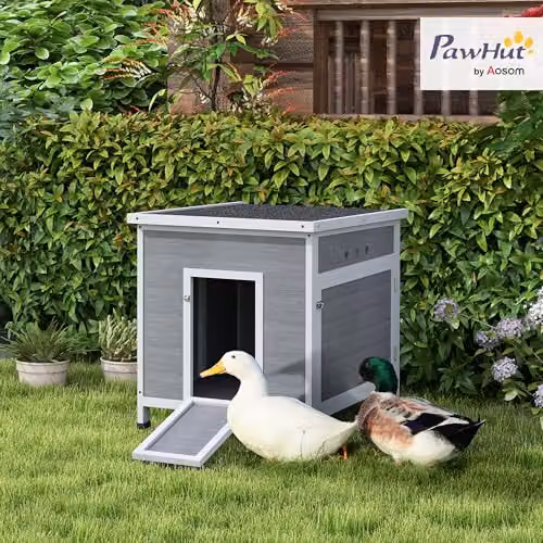 PawHut Wooden Raised Duck House Poultry Coop in Light Grey – 2