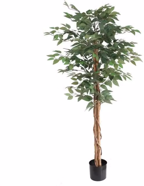 KDMD Artificial Ficus Tree in Green, Height: 152 cm