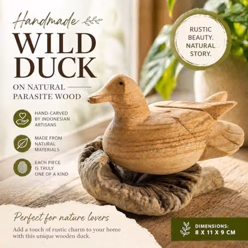 Serenityy Ancient Wisdom Handmade Wild Duck Carving, Brown Parasite Wood Ornament, W/D/H: 11 x 9 x 8 cm – 2