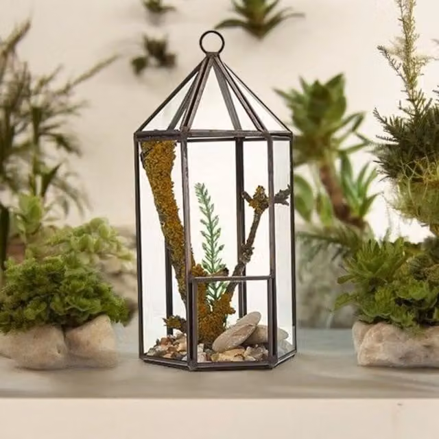 KDMK Geometric Glass and Metal Tabletop Lantern Terrarium for Succulents and Air Plants, Brown and Black, Rectangular