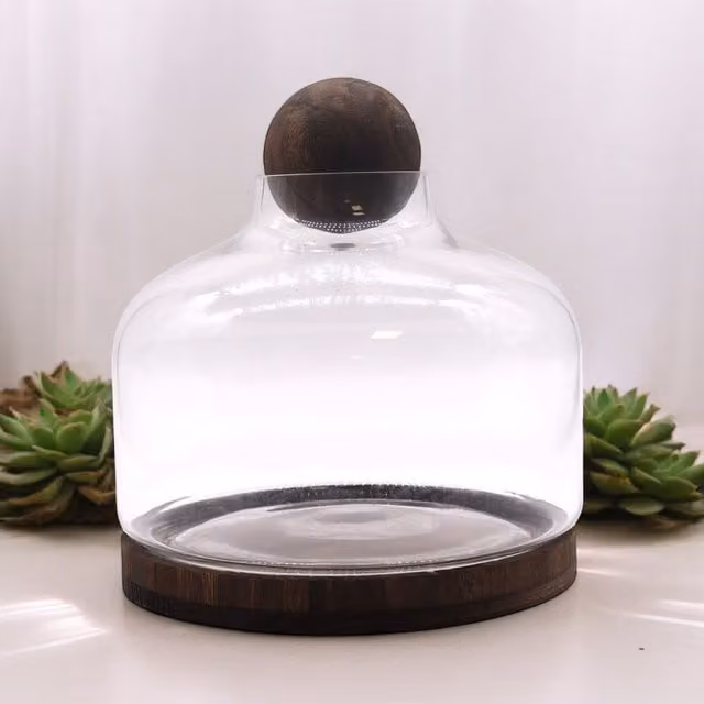 KDMD Ex-Large Round Glass Ball Top Terrarium on Dark Tung Wood in Brown – 1
