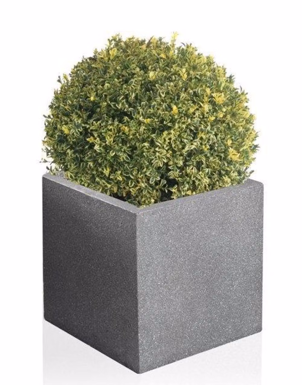 Primrose Kadamus Cube Planter in Grey Terracotta Fibre – 2
