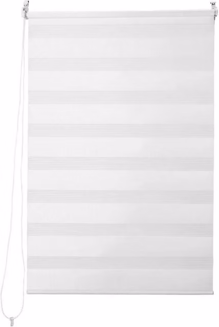 PAWNORA Zebra Day and Night Window Roller Blind, White, Width: 60 cm – 1