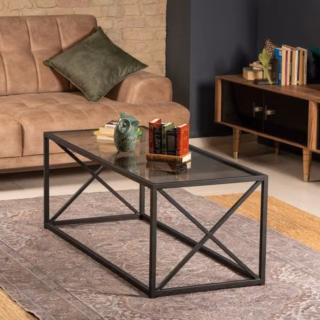 Geises Modern Rectangular Glass and Metal Coffee Table in Black