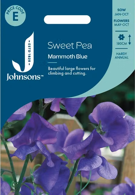 Johnsons Seeds Mammoth Blue Sweet Pea Climbing Flower Seeds