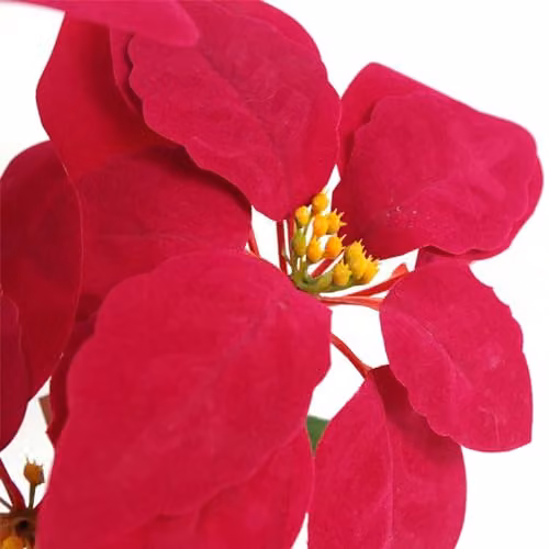 LeafUK Red Poinsettia Artificial Christmas Houseplant in Pot with Copper Edging, Height: 40 cm – 2