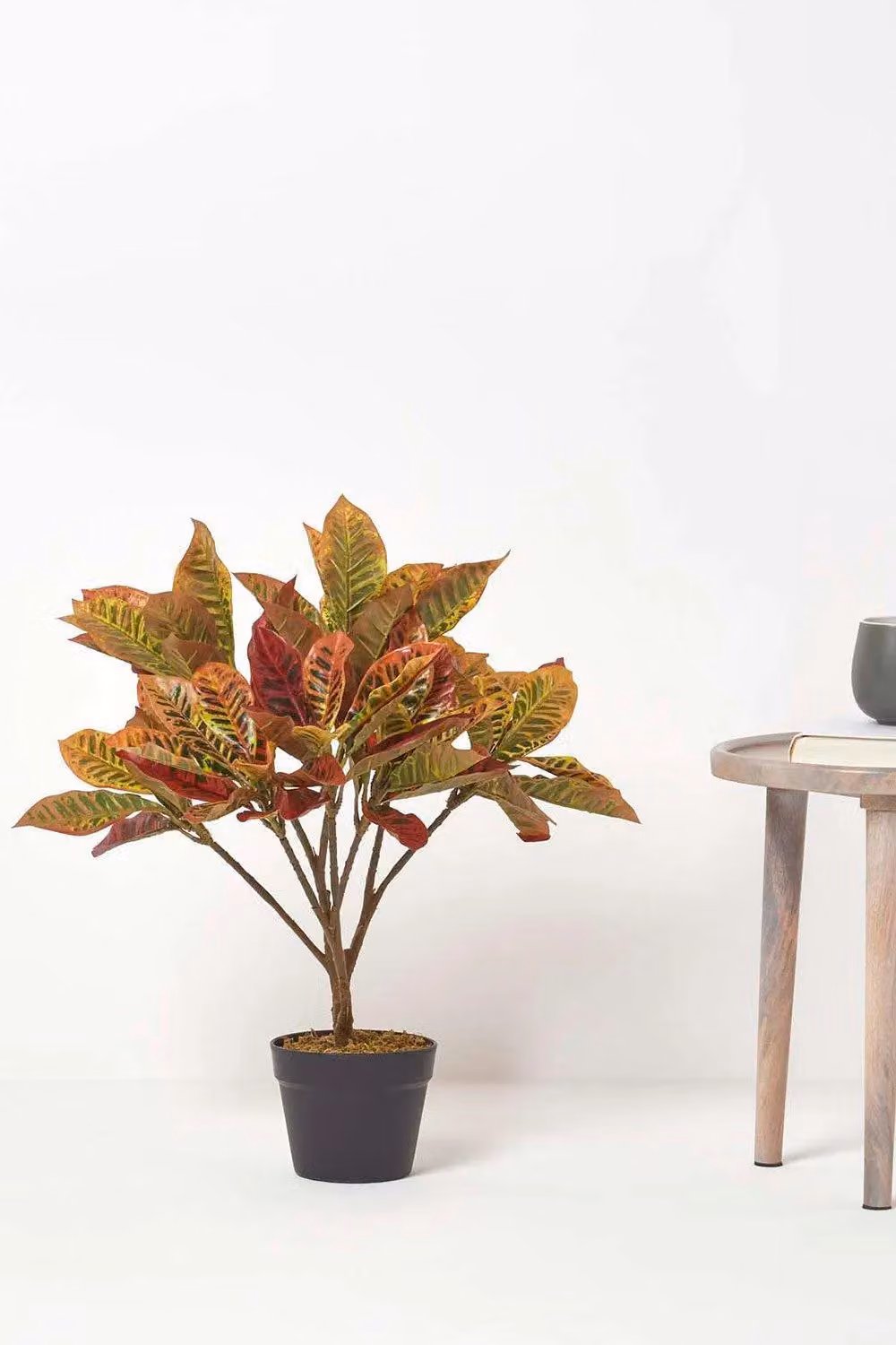 Homescapes Rushfoil Artificial Potted Croton Plant in Red and Multicolour with Black Pot, Height: 65 cm – 6