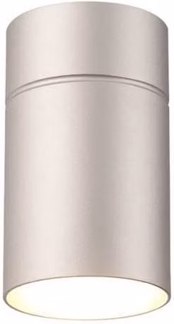 Netlighting Fusion Flush Small Silver Round Ceiling Light with E27 Socket, Diameter: 9.5 cm