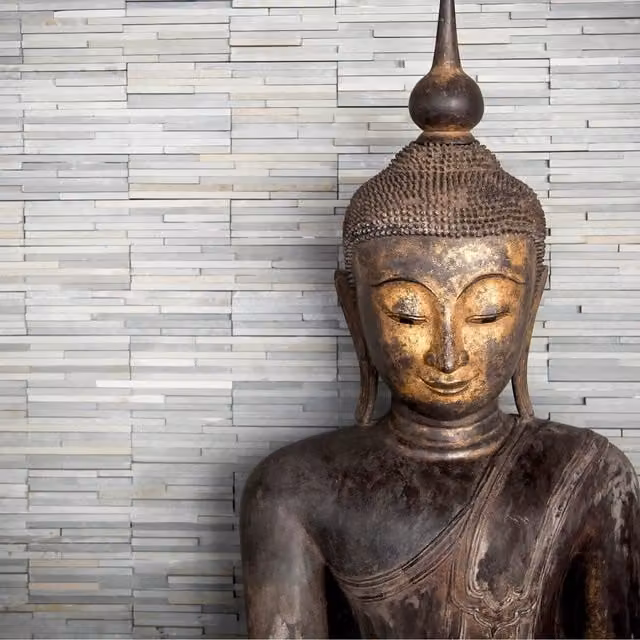 Thailand Buddha Oriental Wall Mural in Brown