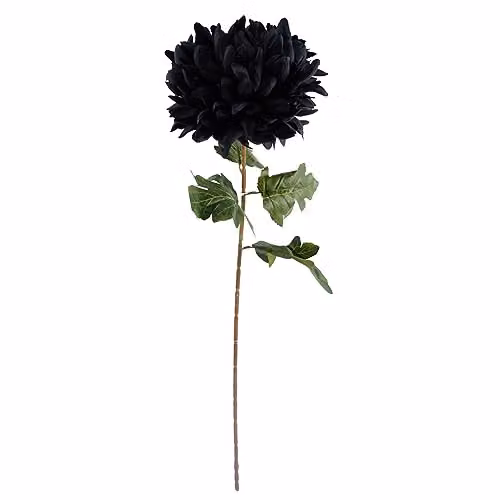 Leaf Pack of 6 Black Textile Artificial Extra Large Reflex Chrysanthemum, Height: 75 cm – 4