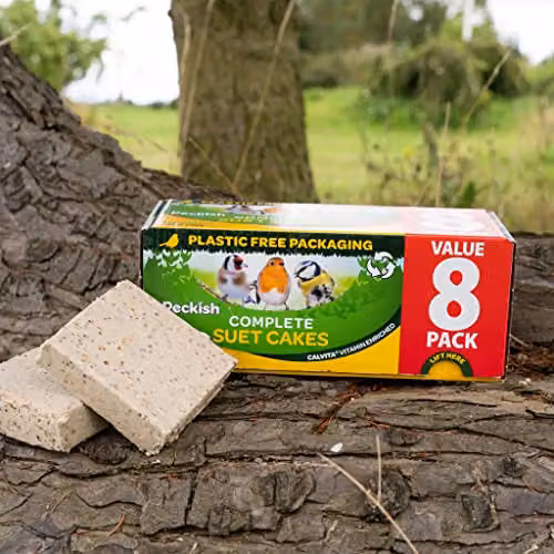 Peckish Complete Seed and Nut Suet Cakes, 8 Pack, Multicolour – 3