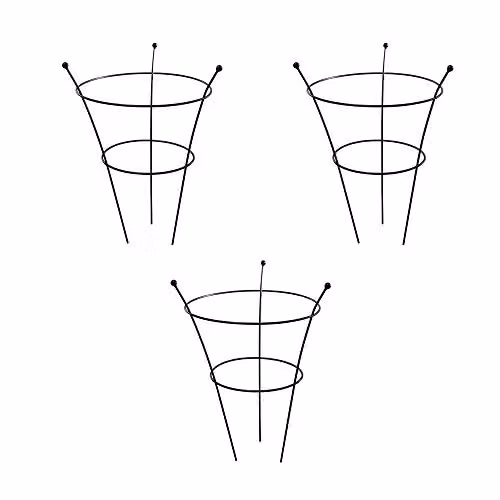 Thompson & Morgan Set of 3 Black Steel Peony Frame Outdoor Garden Plant Support Rings, W/D/H: 40 x 40 x 54 cm