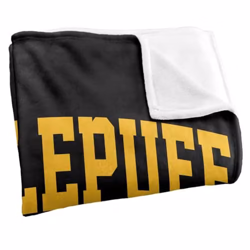 Warner Bros. Harry Potter Hufflepuff Arched Silky Touch Super Soft Fleece Throw Blanket, Multicolour, W: 127 cm, D: 152 cm – 2